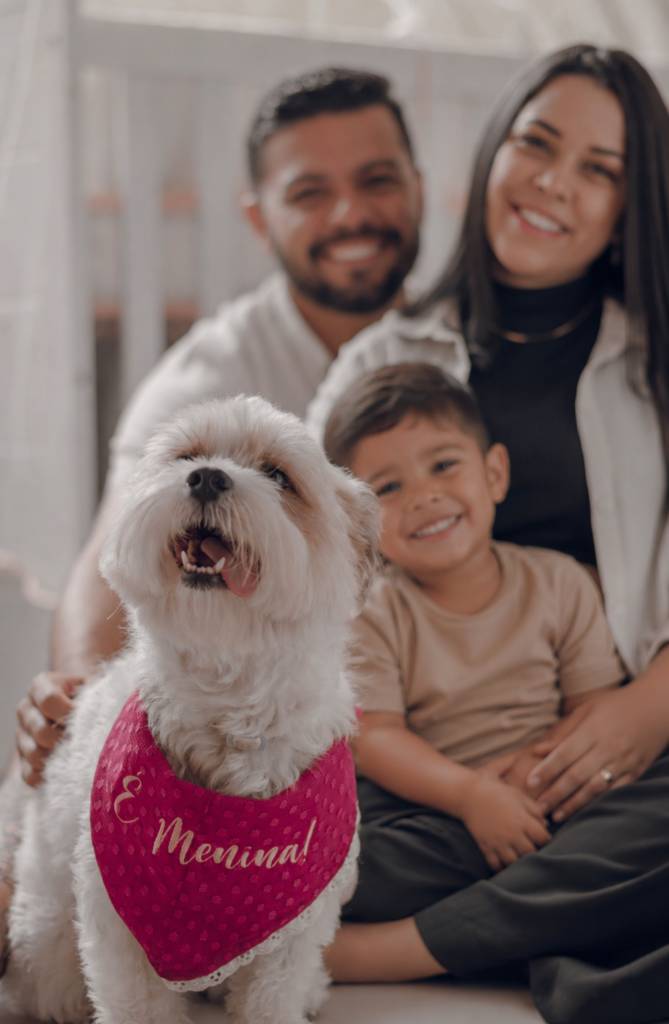 achorros España | Cachorros España - Criadores responsables de perros Maltés